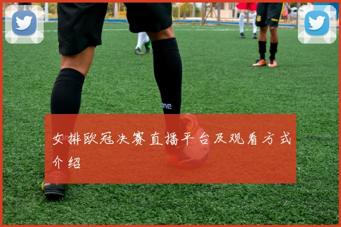 女排欧冠决赛直播平台及观看方式介绍