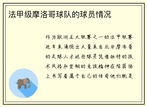 法甲级摩洛哥球队的球员情况